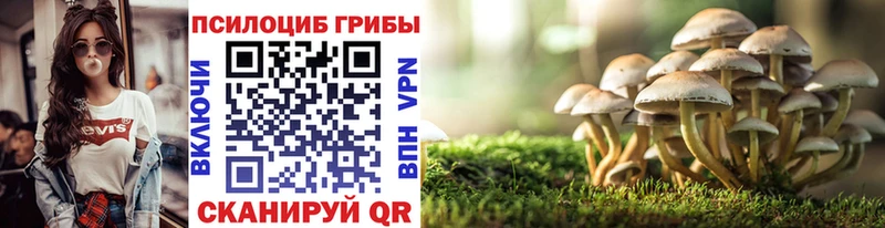 blacksprut ссылка  купить закладку  Туапсе  Псилоцибиновые грибы Cubensis 